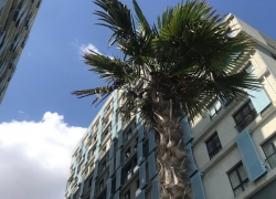 terrace-mix-full-esyali-kiracili-42-m2-10-satilik-studio1-20260519115223.jpg